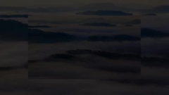 Introduction de société